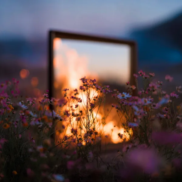 4th Man In The Fire — Franchesca