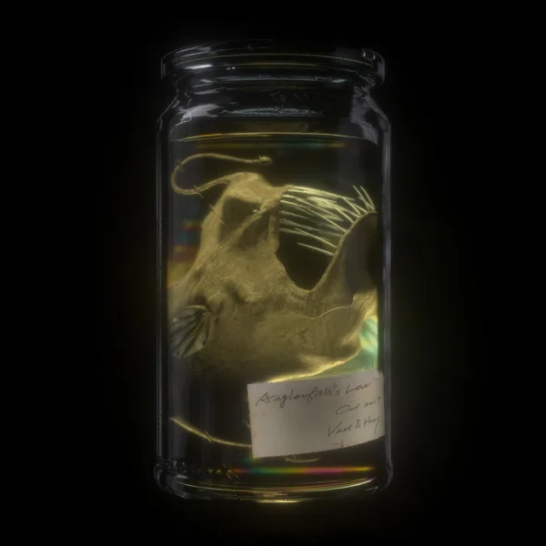Anglerfish's Love — VH (Vast & Hazy)