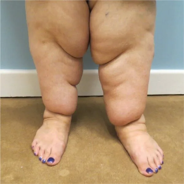 Ankle Tag (Toilet Version) — Jobba the Hutt