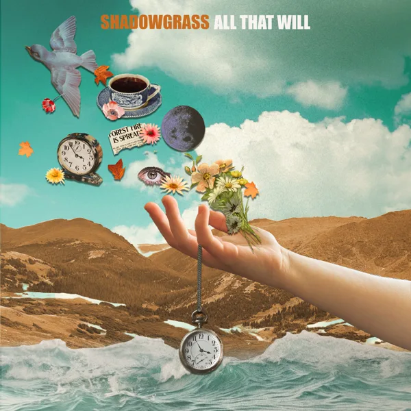 Another Year — Shadowgrass