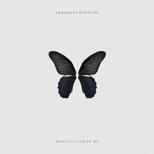 Beauty Lives in Me (feat. Jennifer Holm) — Johannes Bornlöf