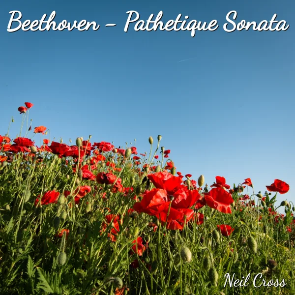 Beethoven - Pathetique Sonata — NEIL CROSS