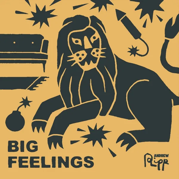 Big Feelings — Andrew Ripp