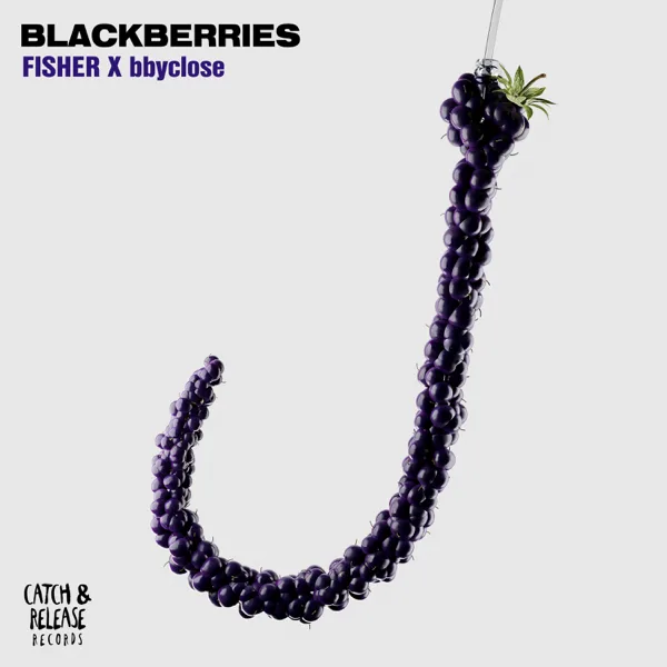 Blackberries — FISHER & bbyclose