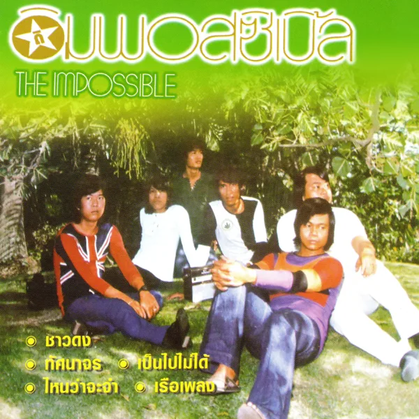 ชาวดง — The Impossible