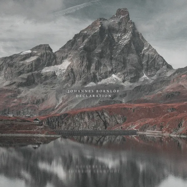 Declaration — Johannes Bornlöf