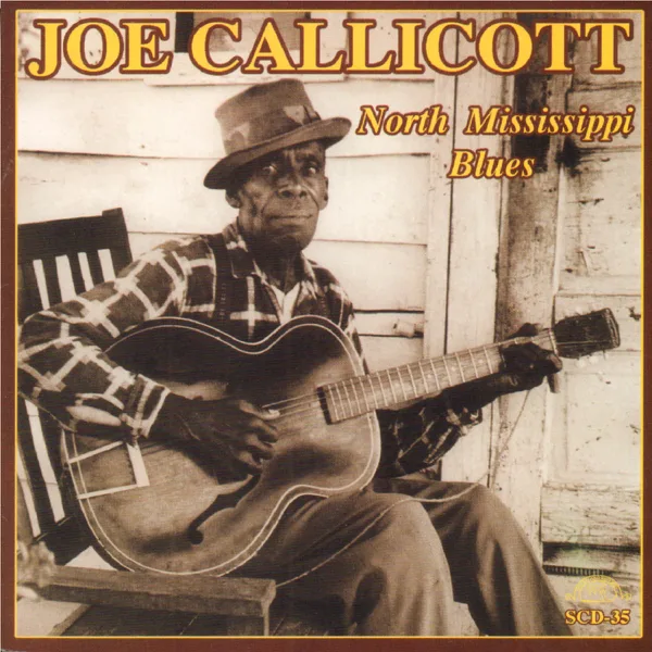 Fare Thee Well Blues - 1930 — Joe Callicott