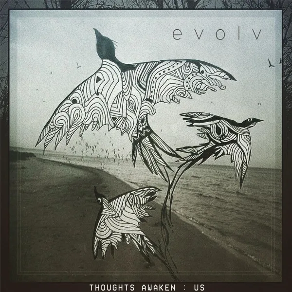 Halation — evolv