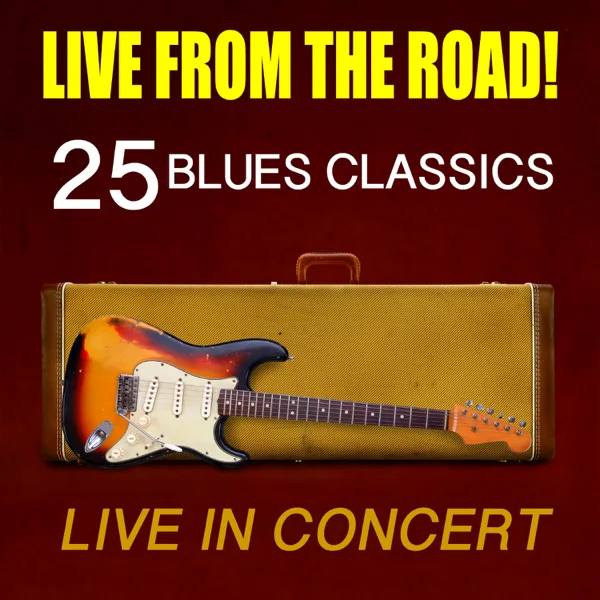 Hard Times — John Lee Hooker