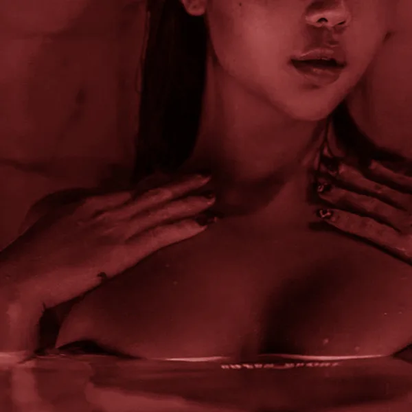 Hedonist — zandros & VIZIER