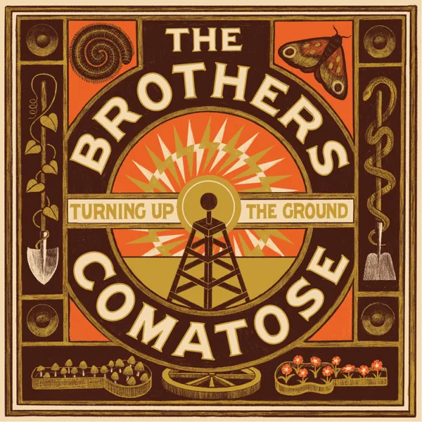 Hole In My Pocket — The Brothers Comatose