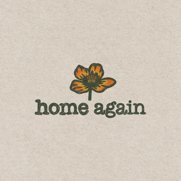 Home Again — The Brothers Comatose & Lindsay Lou