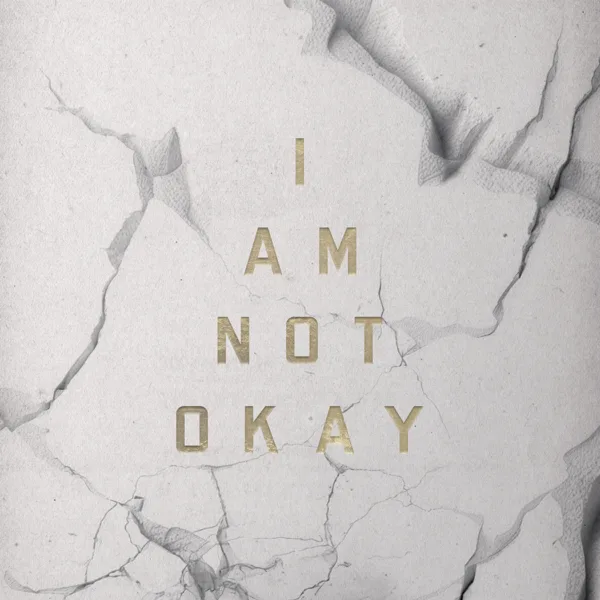 I Am Not Okay — Jelly Roll