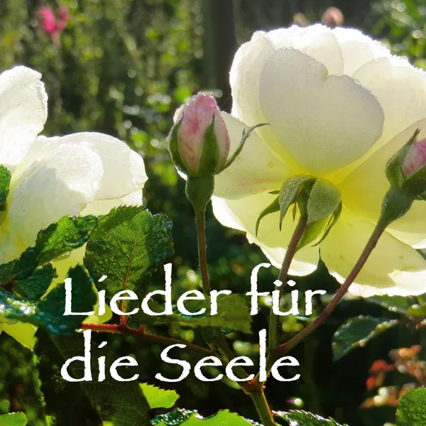 Il Mio Bel Foco — Gabriele Schroeter & Susanne Stolpe