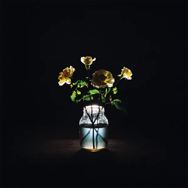 In The Morning Light — Billy Strings