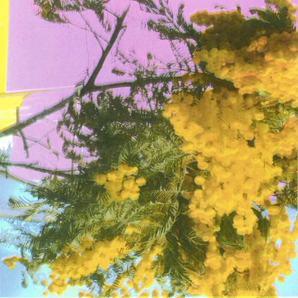 Into Dust (Still Falling) — Four Tet