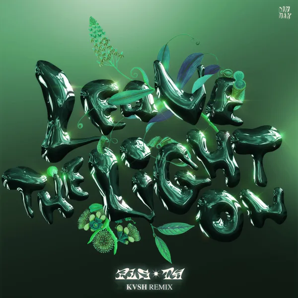 Leave the Light On (Kvsh Remix) — PLS&TY & x.o.anne