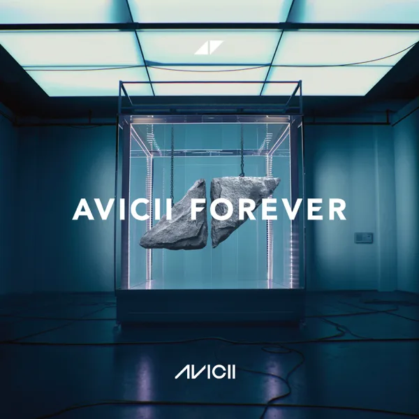 Levels (Radio Edit) — Avicii