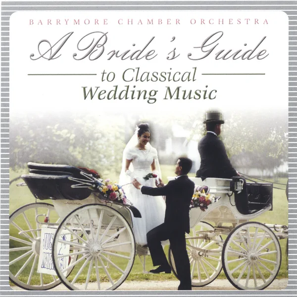 Pachelbel's Canon in D — Barrymoore Chamber Orchestra
