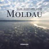 River Flows in You (Arr. for Harp) — Silke Aichhorn