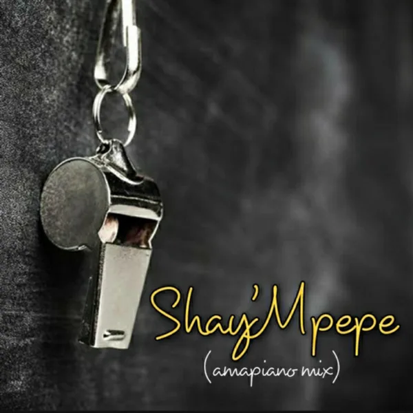 Shay'mpempe (feat. Dj Mavuthela, Ribby De Deejay & Rhino) — Muzzy D Pilot