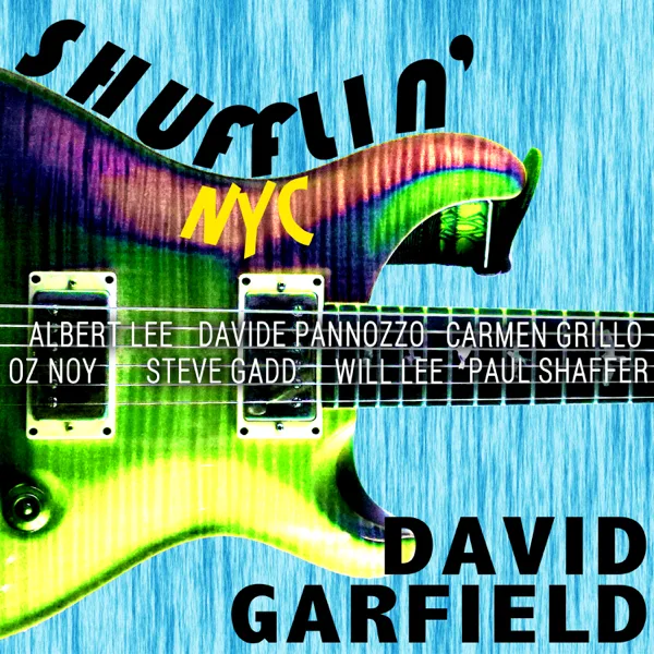 Shufflin' NYC (feat. Oz Noy, Steve Gadd, Paul Shaffer, Will Lee, Albert Lee, Davide Pannozzo & Carmen Grillo) — David Garfield