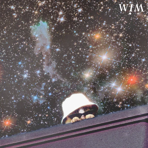 Supernova — WIM