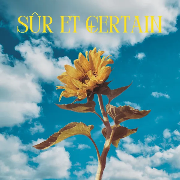 Sûr et certain — Tendry