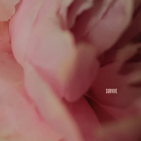 Survive — Lewis Capaldi