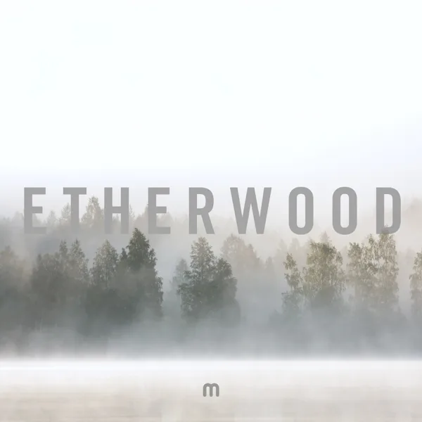 Taken Away — Etherwood