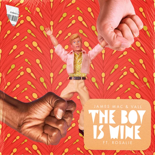 The Boy Is Mine (feat. Rosalie) — James Mac & Vall