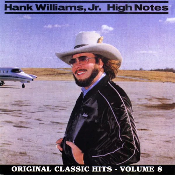 The South's Gonna Rattle Again — Hank Williams Jr.