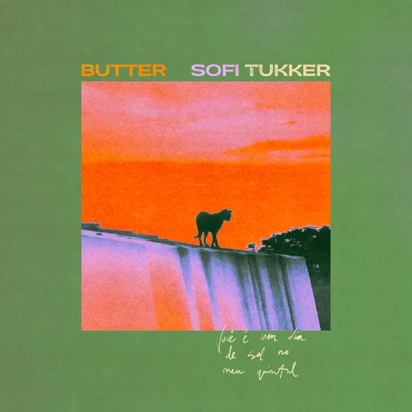 Throw Some Ass (butter version) — Sofi Tukker