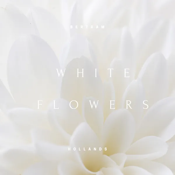 White Flowers — Bertram Hollands